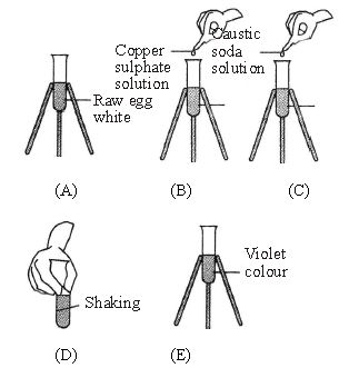 ""CBSE-Class-6-Science-Components-Of-Food-Worksheet-Set-D-1