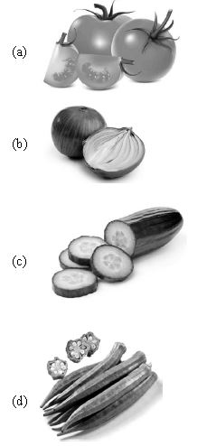 ""CBSE-Class-6-Science-Components-Of-Food-Worksheet-Set-D-2