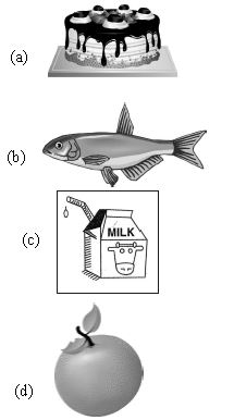 ""CBSE-Class-6-Science-Components-Of-Food-Worksheet-Set-D-3