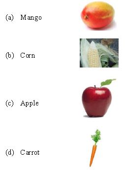""CBSE-Class-6-Science-Food-Where-Does-It-Come-From-Worksheet-Set-I-3