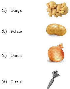 ""CBSE-Class-6-Science-Food-Where-Does-It-Come-From-Worksheet-Set-I-4