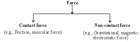 ""CBSE-Class-6-Science-Force-And-Pressure-Worksheet-Set-A