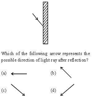 ""CBSE-Class-6-Science-Light-Shadows-And-Reflections-Worksheet-Set-C-1