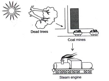 ""CBSE-Class-6-Science-Light-Shadows-And-Reflections-Worksheet-Set-C