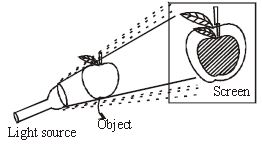 ""CBSE-Class-6-Science-Light-Shadows-And-Reflections-Worksheet-Set-D-2