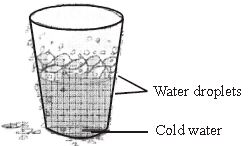 ""CBSE-Class-6-Science-Separation-Of-Substances-Worksheet-Set-A