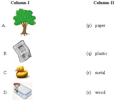 ""CBSE-Class-6-Science-Sorting-Materials-Into-Groups-Worksheet-Set-E