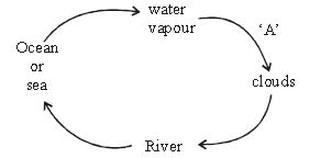 ""CBSE-Class-6-Science-Water-Worksheet-Set-B-1