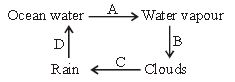 ""CBSE-Class-6-Science-Water-Worksheet-Set-B