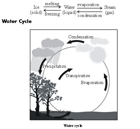 ""CBSE-Class-6-Science-Water-Worksheet-Set-C-1