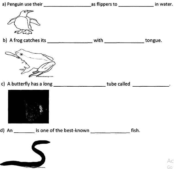 ""CBSE-Class-5-Science-Animal-Life-Worksheet