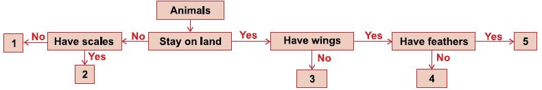 ""CBSE-Class-5-Science-NSO-Olympiad-MCQs-with-Answers-Set-K-14