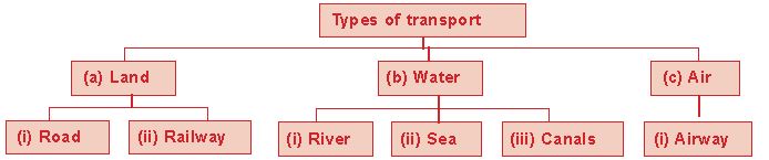 ""CBSE-Class-5-Science-NSO-Olympiad-MCQs-with-Answers-Set-K-2