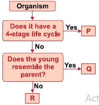 ""CBSE-Class-5-Science-NSO-Olympiad-MCQs-with-Answers-Set-K-9