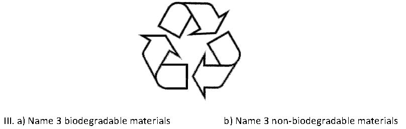 ""CBSE-Class-5-Social-Science-Environmental-Pollution-Worksheet