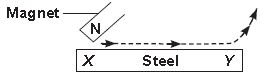 ""CBSE-Class-6-Science-NSO-Olympiad-MCQs-with-Answers-Set-L-10