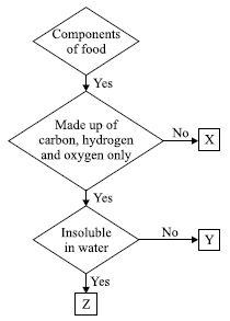 ""CBSE-Class-6-Science-NSO-Olympiad-MCQs-with-Answers-Set-M-13