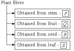 ""CBSE-Class-6-Science-NSO-Olympiad-MCQs-with-Answers-Set-N-16