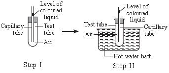 ""CBSE-Class-6-Science-NSO-Olympiad-MCQs-with-Answers-Set-N-22