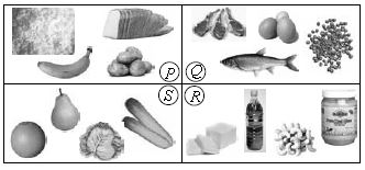 ""CBSE-Class-6-Science-NSO-Olympiad-MCQs-with-Answers-Set-O-13