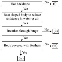 ""CBSE-Class-6-Science-NSO-Olympiad-MCQs-with-Answers-Set-O-15