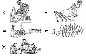 ""CBSE-Class-6-Science-NSO-Olympiad-MCQs-with-Answers-Set-O-17