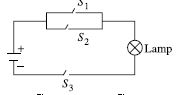 ""CBSE-Class-6-Science-NSO-Olympiad-MCQs-with-Answers-Set-O-5