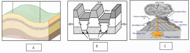 ""CBSE-Class-6-Social-Science-Tectonic-Plates-Worksheet