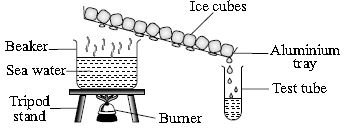 ""CBSE-Class-7-Science-NSO-Olympiad-MCQs-with-Answers-Set-A-10