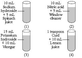 ""CBSE-Class-7-Science-NSO-Olympiad-MCQs-with-Answers-Set-A-12