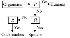 ""CBSE-Class-7-Science-NSO-Olympiad-MCQs-with-Answers-Set-A-15