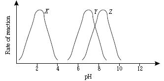 ""CBSE-Class-7-Science-NSO-Olympiad-MCQs-with-Answers-Set-A-25