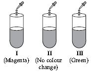 ""CBSE-Class-7-Science-NSO-Olympiad-MCQs-with-Answers-Set-C-11