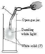 ""CBSE-Class-7-Science-NSO-Olympiad-MCQs-with-Answers-Set-C-14