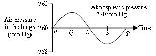 ""CBSE-Class-7-Science-NSO-Olympiad-MCQs-with-Answers-Set-C-22