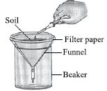 ""CBSE-Class-7-Science-NSO-Olympiad-MCQs-with-Answers-Set-C-23