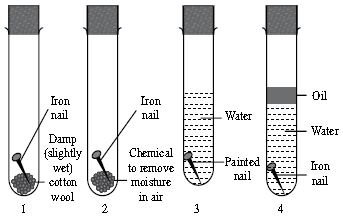 ""CBSE-Class-7-Science-NSO-Olympiad-MCQs-with-Answers-Set-C-24