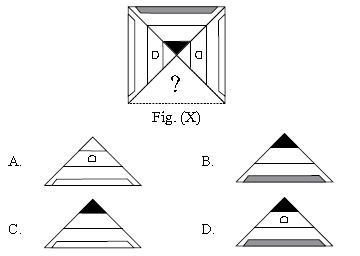 ""CBSE-Class-7-Science-NSO-Olympiad-MCQs-with-Answers-Set-C-3