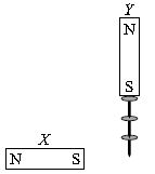 ""CBSE-Class-7-Science-NSO-Olympiad-MCQs-with-Answers-Set-C-8