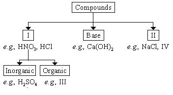 ""CBSE-Class-7-Science-NSO-Olympiad-MCQs-with-Answers-Set-D-11