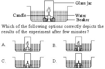 ""CBSE-Class-7-Science-NSO-Olympiad-MCQs-with-Answers-Set-D-12