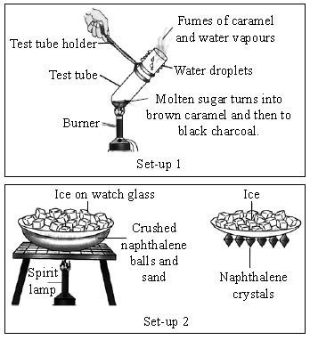 ""CBSE-Class-7-Science-NSO-Olympiad-MCQs-with-Answers-Set-D-9