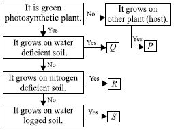 ""CBSE-Class-7-Science-NSO-Olympiad-MCQs-with-Answers-Set-E-17