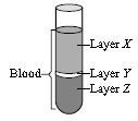 ""CBSE-Class-7-Science-NSO-Olympiad-MCQs-with-Answers-Set-E-21