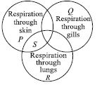 ""CBSE-Class-7-Science-NSO-Olympiad-MCQs-with-Answers-Set-E-23