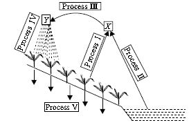 ""CBSE-Class-7-Science-NSO-Olympiad-MCQs-with-Answers-Set-E-28