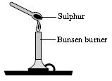 ""CBSE-Class-7-Science-NSO-Olympiad-MCQs-with-Answers-Set-F-12