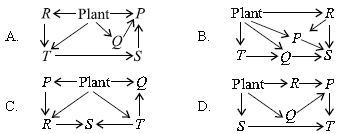 ""CBSE-Class-7-Science-NSO-Olympiad-MCQs-with-Answers-Set-F-17