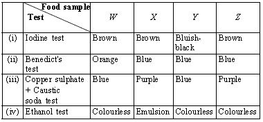 ""CBSE-Class-7-Science-NSO-Olympiad-MCQs-with-Answers-Set-F-18