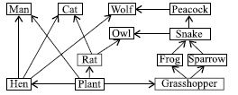 ""CBSE-Class-7-Science-NSO-Olympiad-MCQs-with-Answers-Set-F-22